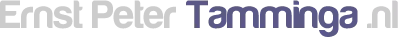 Gerechtelijk deskundige ICT